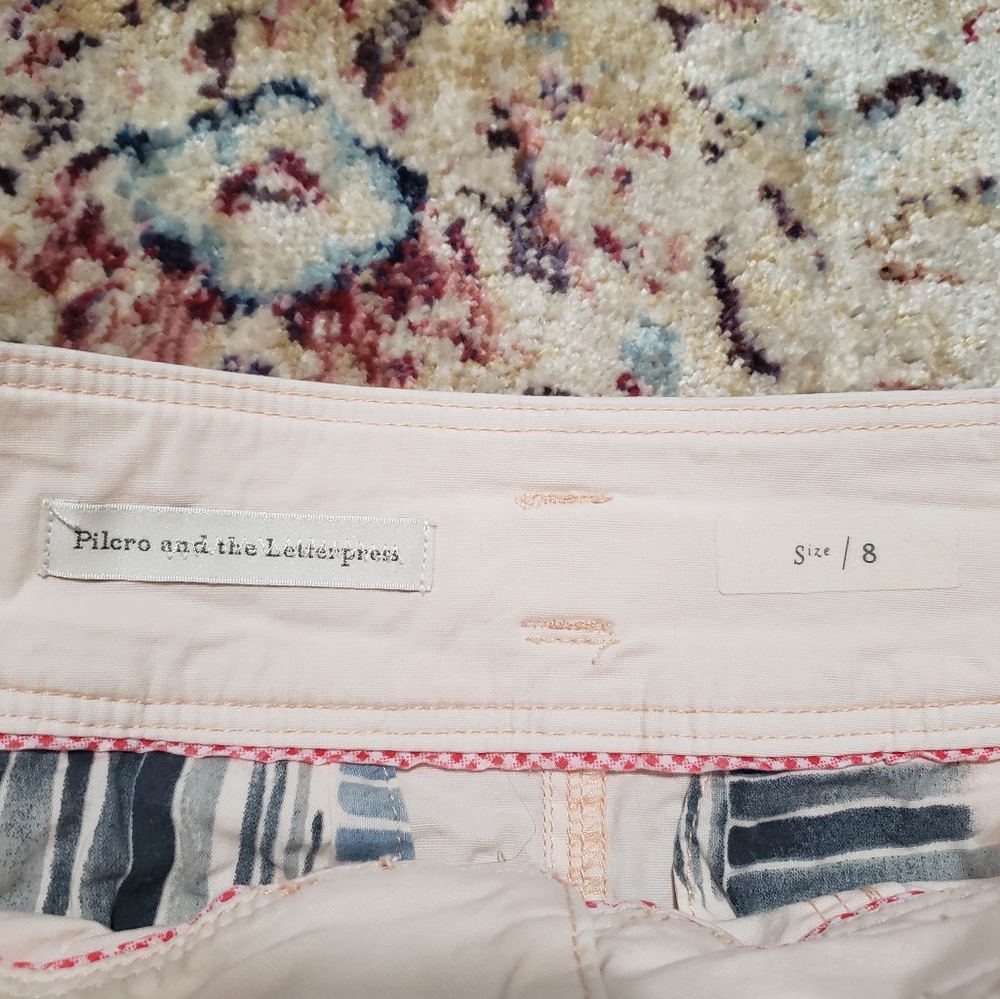 Anthropologie Pilcro and the Letterpress Pale Peach Skirt Sz 8 - Picture 3 of 11